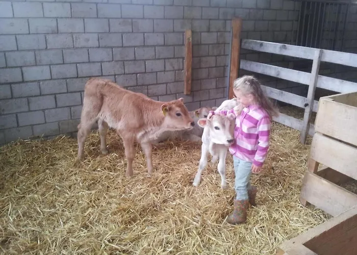 Biala - Bioberguen By Interhome Appartement Bergün