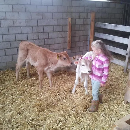 Biala - Bioberguen By Interhome Apartmán Bergün